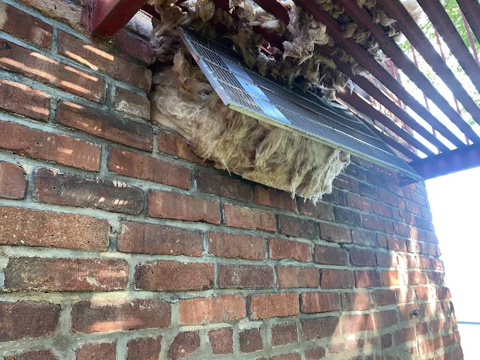 Victory Wildlife and Pest Removal Picture 1