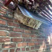 Victory Wildlife and Pest Removal ico