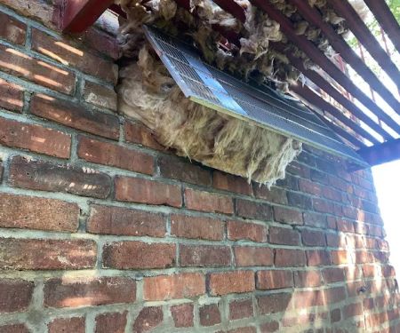 Victory Wildlife and Pest Removal