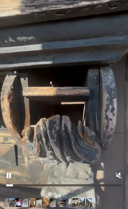 Victory Wildlife and Pest Removal Picture 7