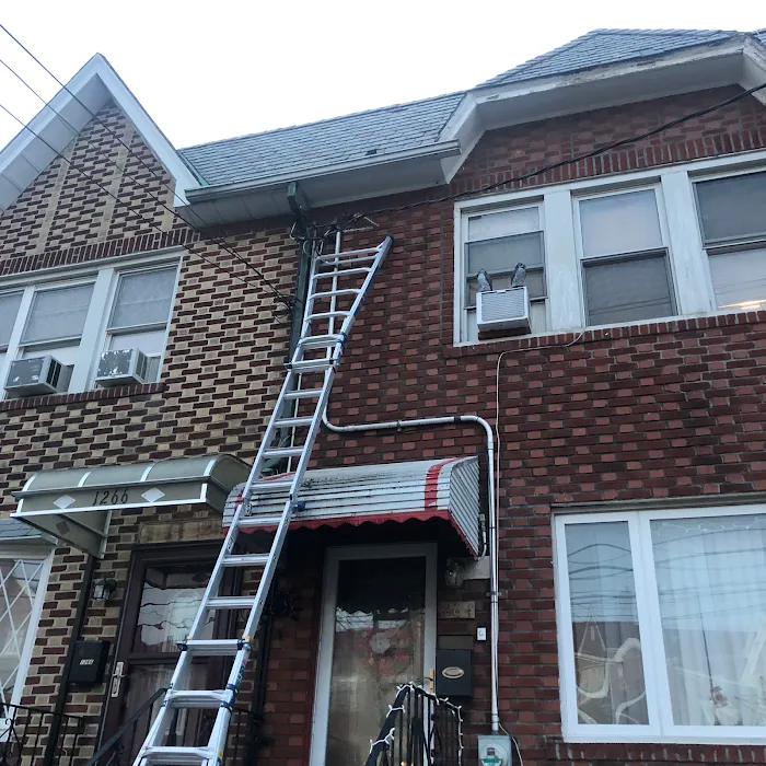 Victory Wildlife and Pest Removal Picture 6