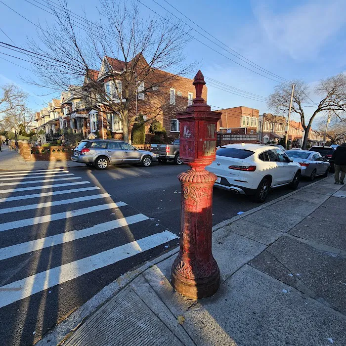 Dyker Heights Pest Control Picture 1