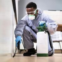 Pied Piper Pest Control ico