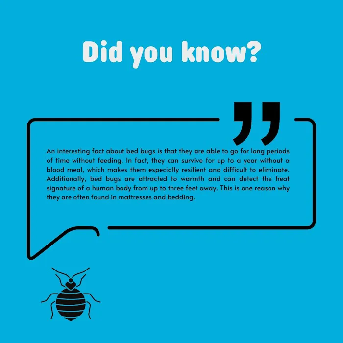 Pied Piper Pest Control Picture 5