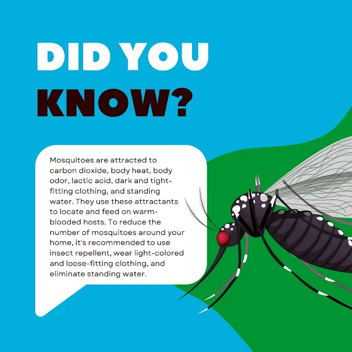 Pied Piper Pest Control Picture 7