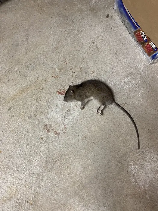 JW Pest Control LLC Picture 1