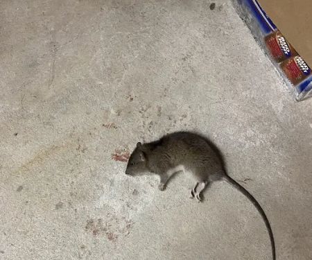 JW Pest Control LLC