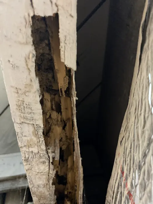 JW Pest Control LLC Picture 2