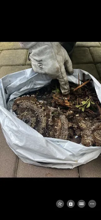 JW Pest Control LLC Picture 4