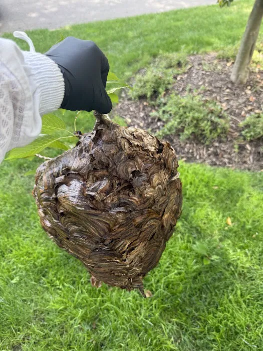 JW Pest Control LLC Picture 7