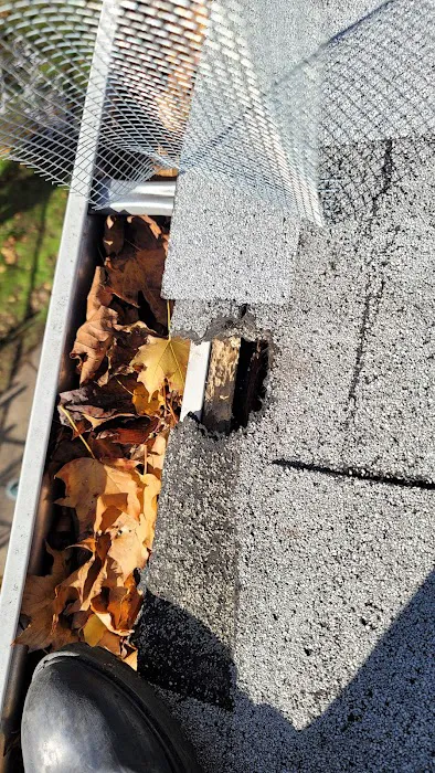 Private Exterminator Picture 3