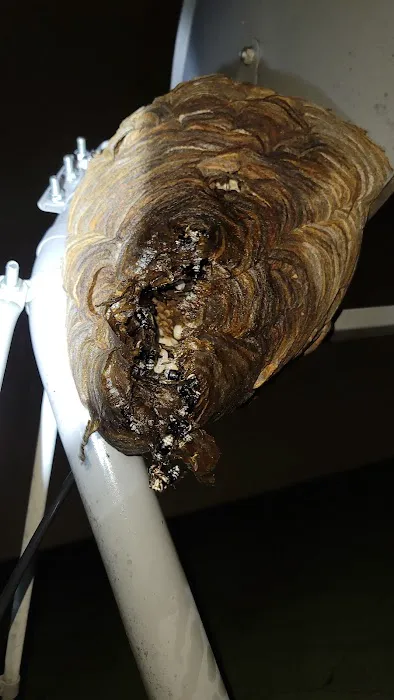 Private Exterminator Picture 5