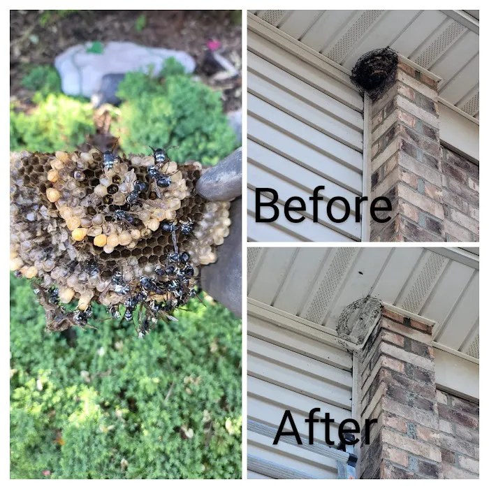 US Verminators Picture 8