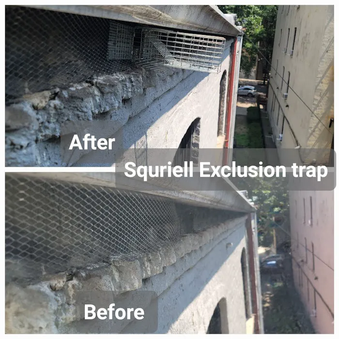 US Verminators Picture 6