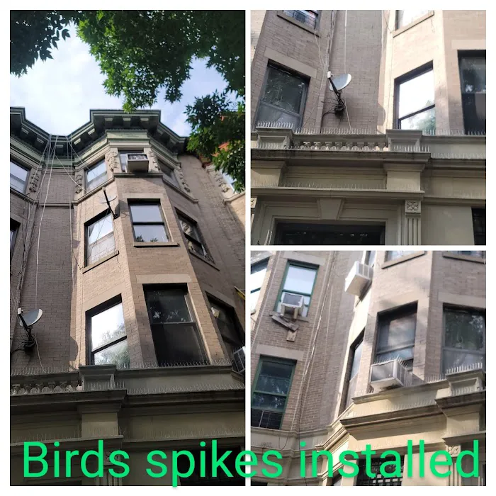 US Verminators Picture 3