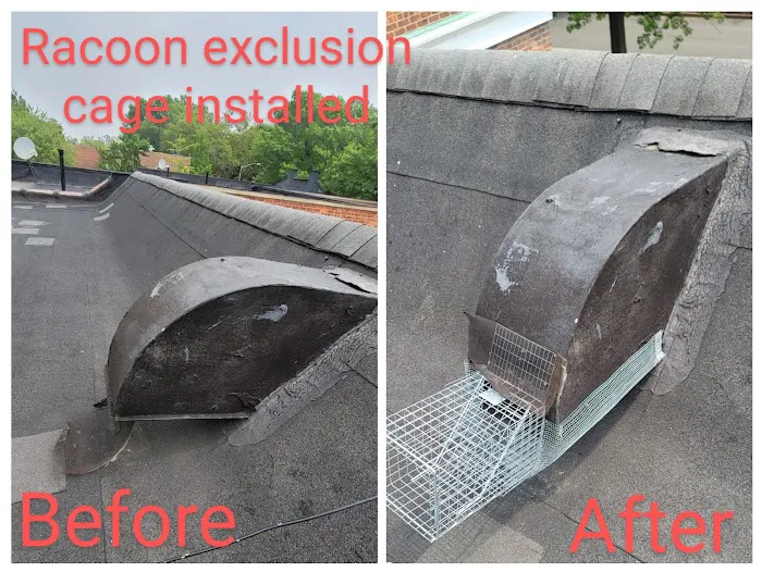 US Verminators Picture 5