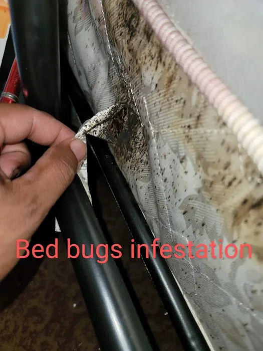 US Verminators Picture 4