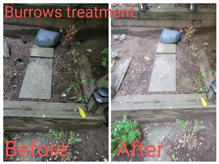 US Verminators Picture 1