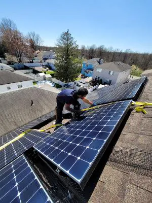 Best@Pest Exterminating Picture 9