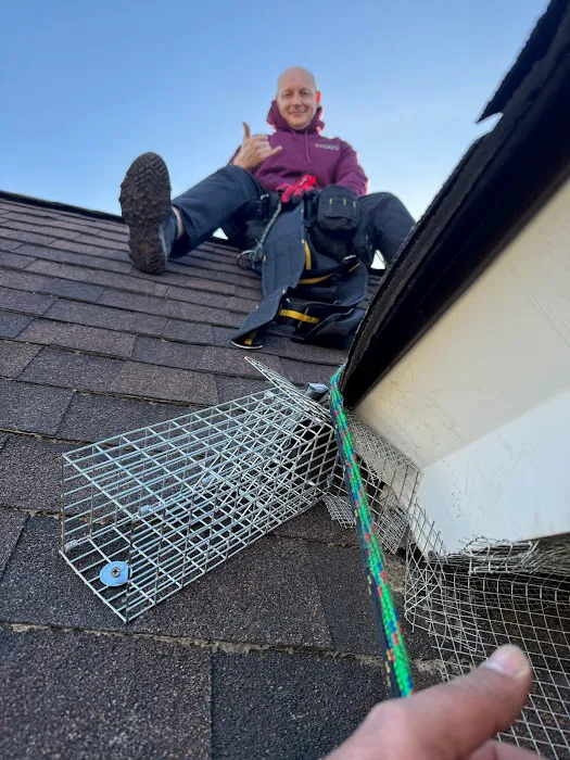 Best@Pest Exterminating Picture 10