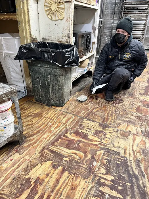 Top Notch Pest Control Corp Picture 10