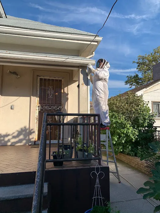 Top Notch Pest Control Corp Picture 1