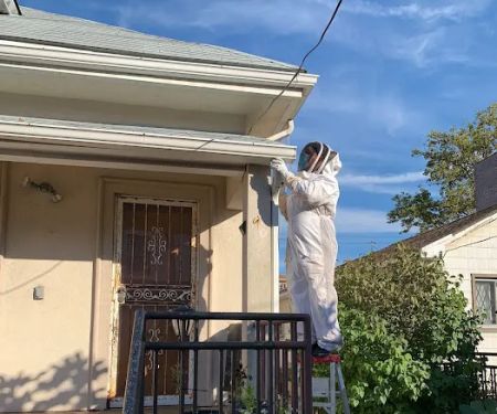 Top Notch Pest Control Corp