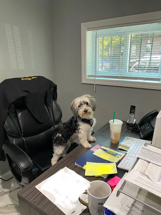 Top Notch Pest Control Corp Picture 5