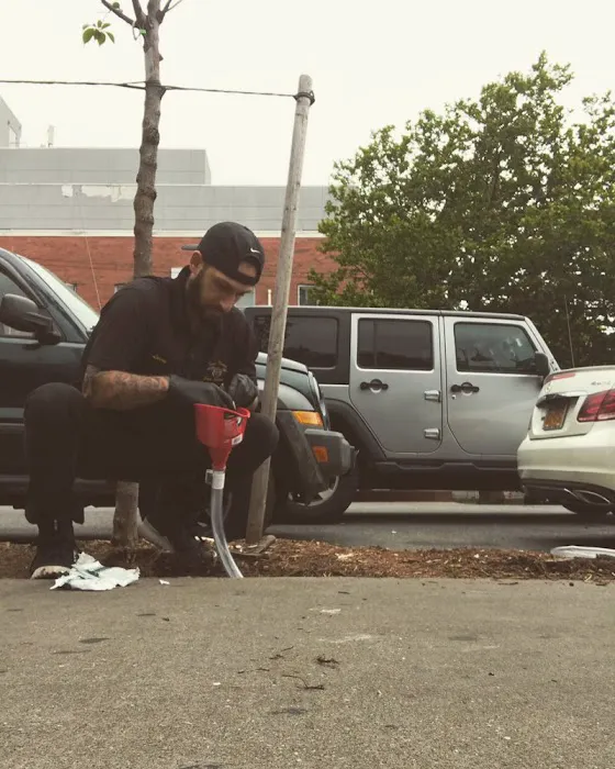 Top Notch Pest Control Corp Picture 2