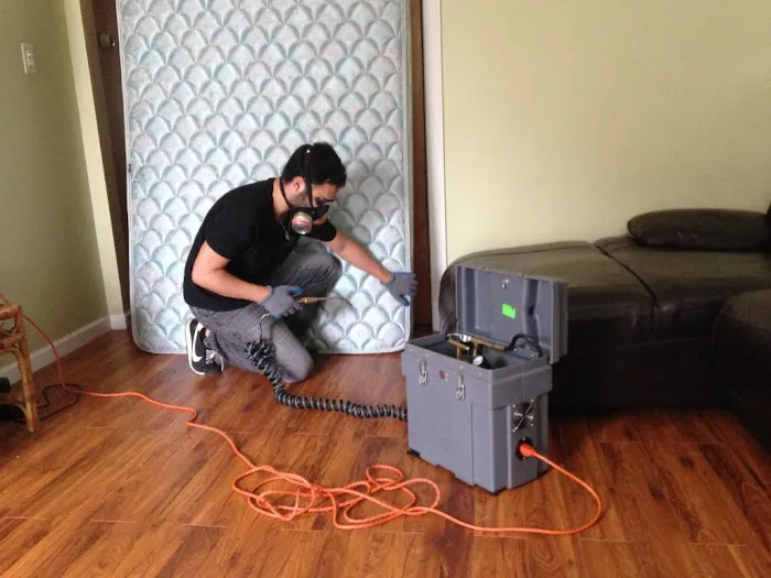 EZ Bed Bug Exterminator Brooklyn Picture 10