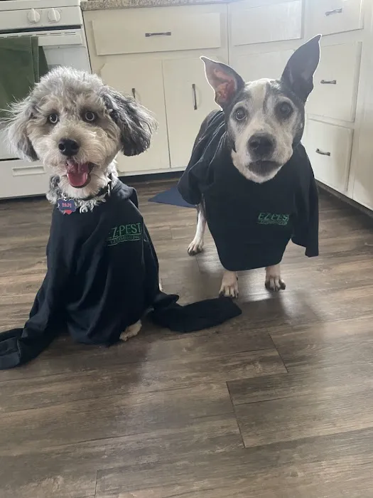 EZ Bed Bug Exterminator Brooklyn Picture 6