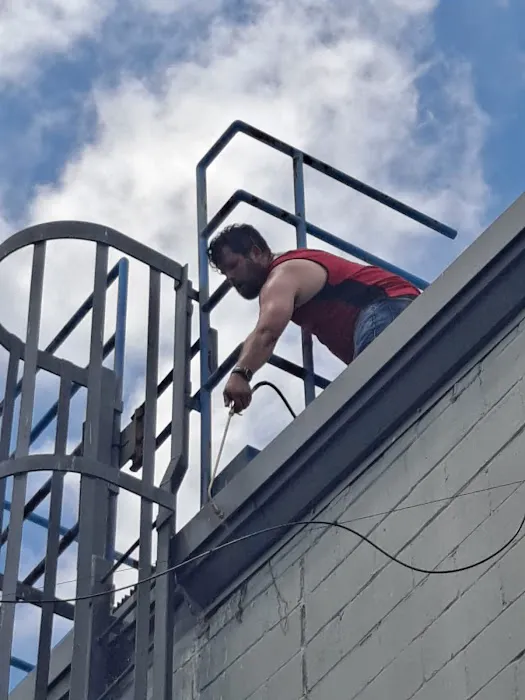 Monster Trapping and Pest Picture 5