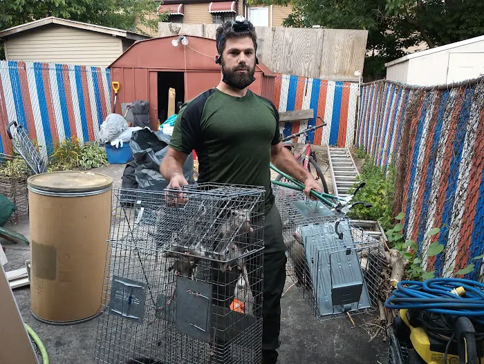 Monster Trapping and Pest Picture 10