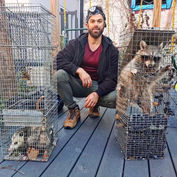 Monster Trapping and Pest Picture 4