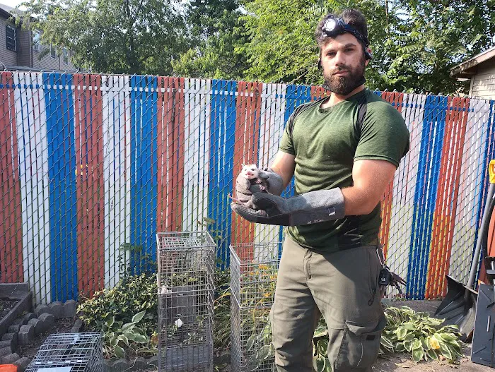 Monster Trapping and Pest Picture 6