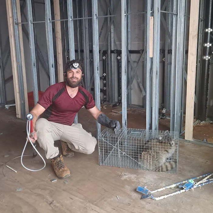 Monster Trapping and Pest Picture 7