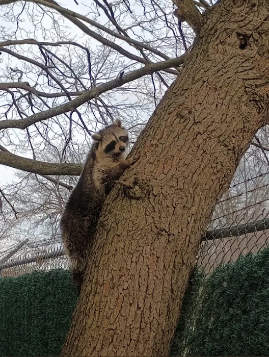 Monster Trapping and Pest Picture 8