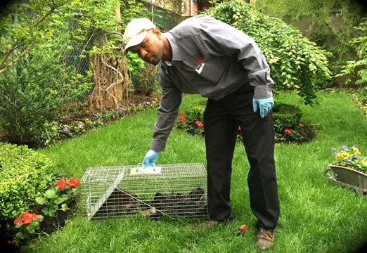 A-Expert Extermination & Termite Control Co., Inc. Picture 1