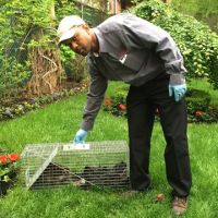 A-Expert Extermination & Termite Control Co., Inc. ico