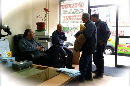 A-Expert Extermination & Termite Control Co., Inc. Picture 4