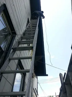 A-Expert Extermination & Termite Control Co., Inc. Picture 7