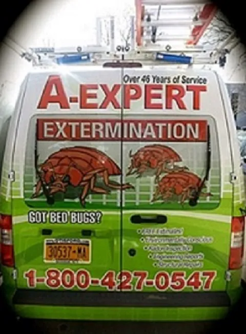 A-Expert Extermination & Termite Control Co., Inc. Picture 5