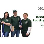 Bed Bug 911