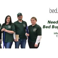 Bed Bug 911 ico