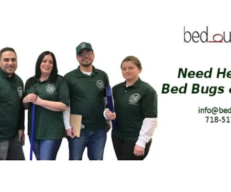 Bed Bug 911