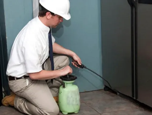 Evergreen Eco Pest Control Picture 1