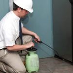 Evergreen Eco Pest Control