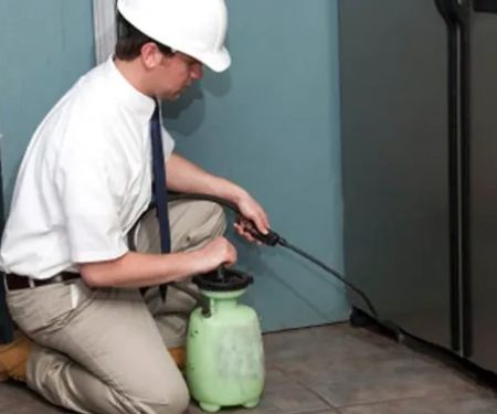 Evergreen Eco Pest Control