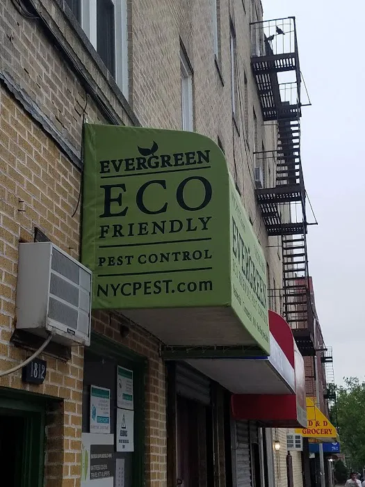 Evergreen Eco Pest Control Picture 2