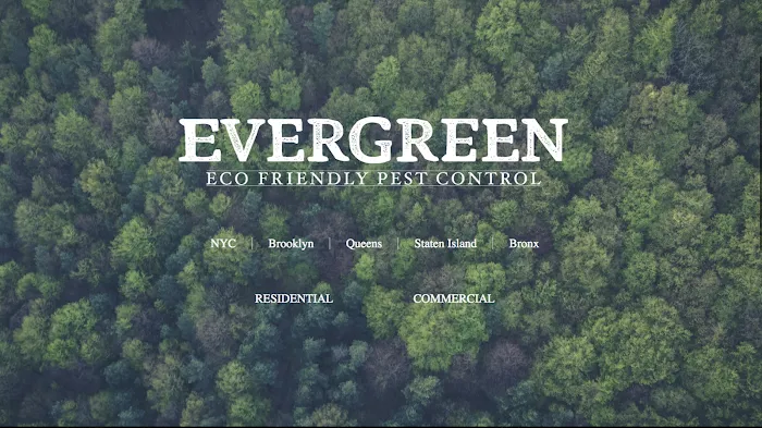 Evergreen Eco Pest Control Picture 5